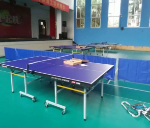 比賽用乒乓球地膠PVC地板
