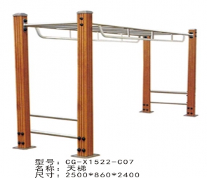 CG-X1522-C07 新耐用塑木型臂部鍛煉器械攀爬云梯天梯運(yùn)動室外健身器材