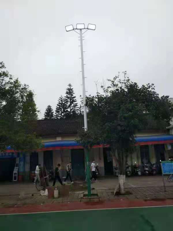 柳州市沙塘鎮(zhèn)廣西農(nóng)牧工程學(xué)校訂制款10米球場燈光安裝