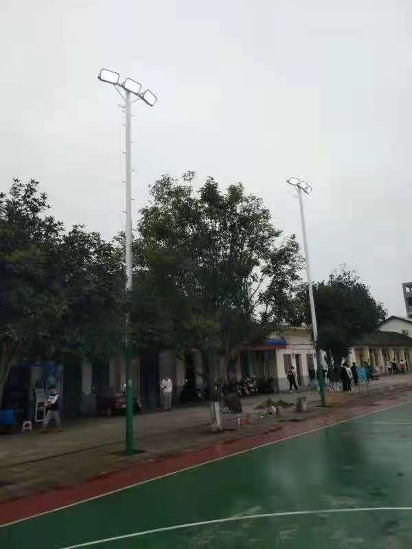 柳州市沙塘鎮(zhèn)廣西農(nóng)牧工程學(xué)校訂制款10米球場燈光安裝