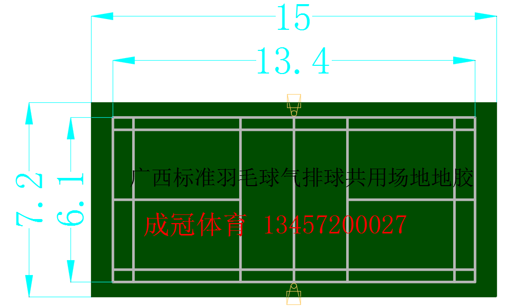 廣西標準羽毛球氣排球共用場地地膠